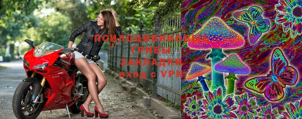 эйфоретик Корсаков