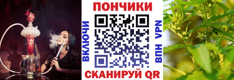 Конопля гибрид  Пыталово 
